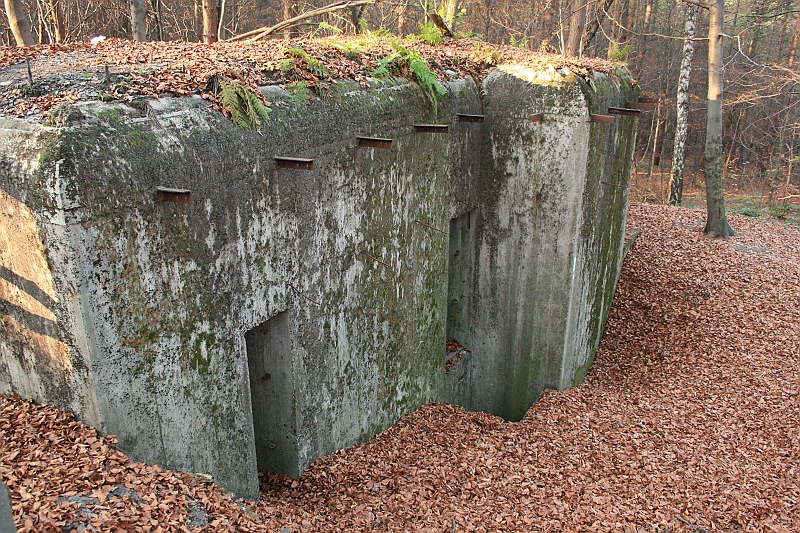Rostoczek 11.2008 290